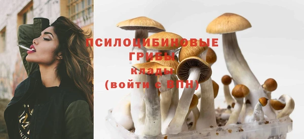 метамфетамин Верея