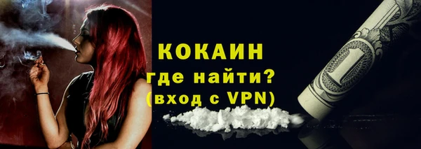 дживик Верхний Тагил