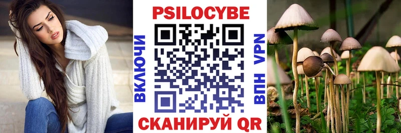Галлюциногенные грибы MAGIC MUSHROOMS  Звенигово 