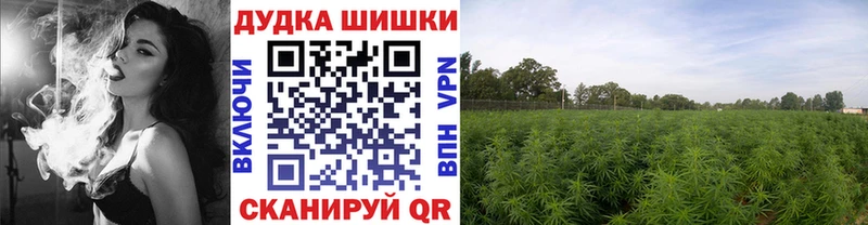 mega ссылка  Звенигово  Бошки Шишки Ganja 